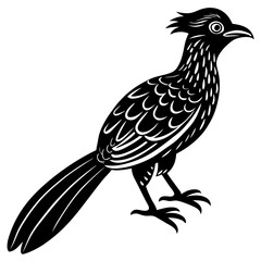 bird on a branch