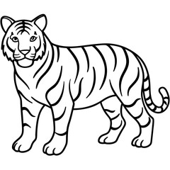 black and white tiger line art