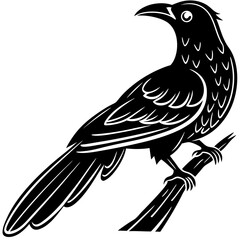 koel bird silhouette