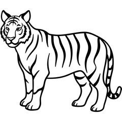 black and white tiger line art