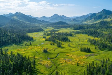 Stunning Aerial View of Lush Green Valley with Wildflowers and Majestic Mountain Range Under Clear Blue Sky