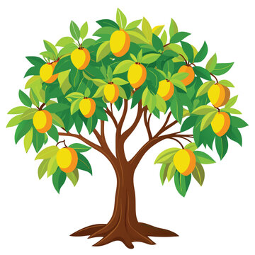 Mango Tree Isolated Vector Art