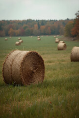 bales of hay
