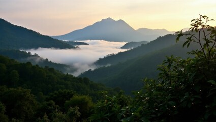 Mountain View at Serene Samoeng Forest