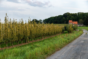 Tienen, Flemish Region, Belgium - 09 20 2021: Harvested agriculture fields and a farm on a country road