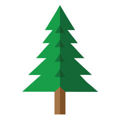 Pine Tree With White Background