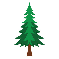 Pine Tree Forest Illustration