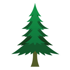 Pine Tree Clean Vector Design