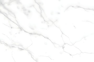 Gray Vein Marble Elegance Design