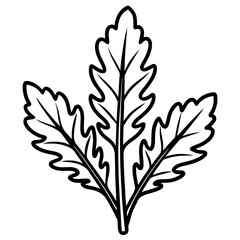 Arugula icon art vector