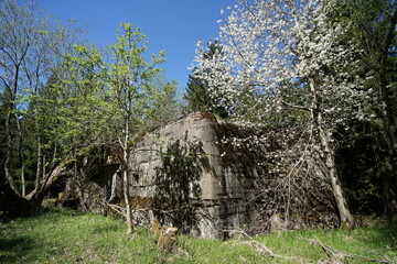Góry Orlickie