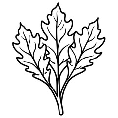 Arugula icon art vector