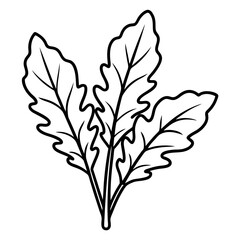 Arugula icon art vector