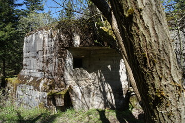 Góry Orlickie