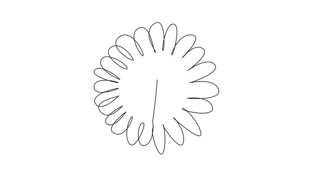 Animated self drawing of continuous line drawing sunflower seen close up. Details and patterns are visible. Flower symbol. Flower of spiritual guidance. Kansas Day. Full length single line animation