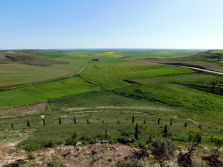 Expansive green fields and rural landscape under a clear blue sky