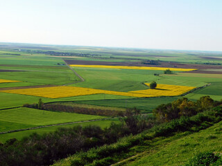 Expansive green fields and rural landscape under a clear blue sky