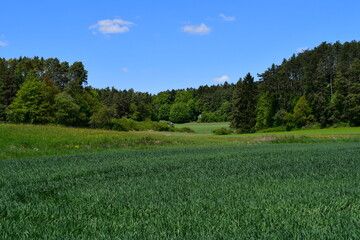 Sch&ouml;ne Landschaft bei T&uuml;chersfeld in der fr&auml;nkischen Schweiz 