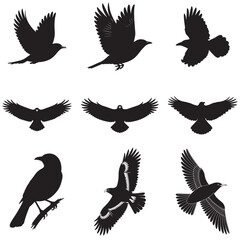 Obraz premium Dynamic Bird Vector Set with Flying, Perching, and Standing Poses in Bold Styles A stunning collection of birds in energetic poses, ideal for creating impactful wildlife and nature designs .Thank You.