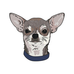 Chihuahua Dog Face Vector
