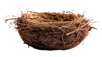 Obraz premium Empty Nest: A rustic, intricately woven bird's nest, a testament to nature's delicate artistry and the cycle of life, conveying the serene silence of a home awaiting new beginnings.