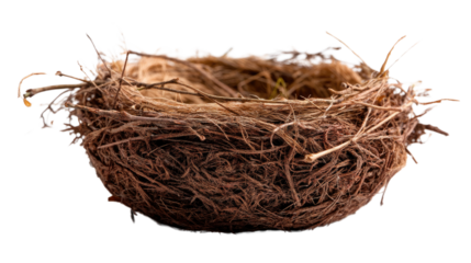 Empty Nest: A rustic, intricately woven bird's nest, a testament to nature's delicate artistry and the cycle of life, conveying the serene silence of a home awaiting new beginnings.