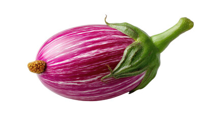 Striking Aubergine: A close-up shot of a single, vibrant aubergine showcases its unique striped pattern. The image captures the freshness and natural beauty of this culinary staple.