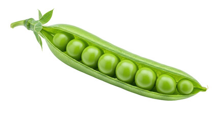Isolated Pod Full of Green Peas