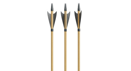 Isolated Set of Three Wooden Arrows with Feathers