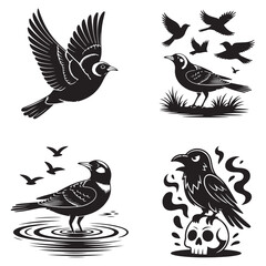 Obraz premium Dynamic Bird Vector Set with Flying, Perching, and Standing Poses in Bold Styles A stunning collection of birds in energetic poses, ideal for creating impactful wildlife and nature designs .Thank You.