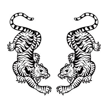 Two Tiger Tattoos Motif. Sak yant suea koo Tattoo. Traditional Tribal Tiger Tattoo.
