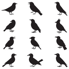 Fototapeta premium Dynamic Bird Vector Set with Flying, Perching, and Standing Poses in Bold Styles A stunning collection of birds in energetic poses, ideal for creating impactful wildlife and nature designs .Thank You.