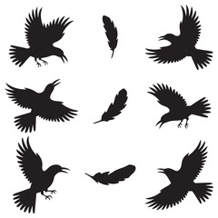 Dynamic Bird Vector Set with Flying, Perching, and Standing Poses in Bold Styles A stunning collection of birds in energetic poses, ideal for creating impactful wildlife and nature designs .Thank You.