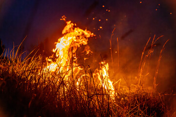 Wildfire spreading through dry grass at night