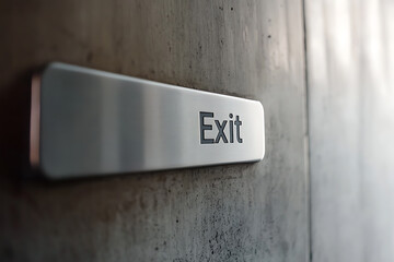 Exit sign on textured wall; emergency egress route marker, showing clear pathway for safety & evacuation, directing to secure space and freedom.