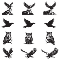 Obraz premium Dynamic Bird Vector Set with Flying, Perching, and Standing Poses in Bold Styles A stunning collection of birds in energetic poses, ideal for creating impactful wildlife and nature designs .Thank You.