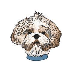 Shih Tzu Dog Face Illustration
