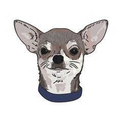 Chihuahua Dog Face Illustration
