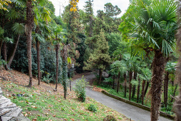 Streets of a southern resort town on the Black Sea coast. Sunny autumn morning. The small town is still asleep.