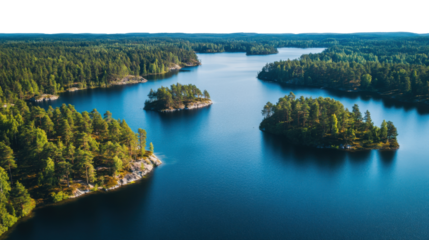 drone view over beautiful lake with little forest on white background