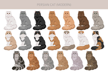 Persian Cat longhaired clipart. Modern type persian cat. All coat colors set.  All cat breeds characteristics infographic. Vector illustration