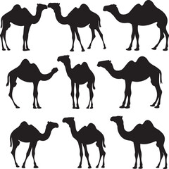 Camel Silhouettes: Vector Illustration of Desert Animals in Black and White, Simple Design