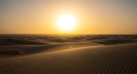 Naklejka premium Sand Dune at Sunset