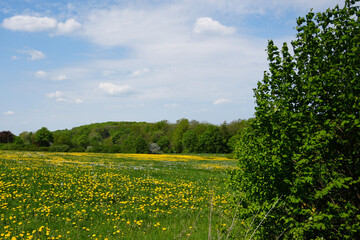 Die wunderschöne Umgebung von Bad Wünnenberg in Nordrhein Westfalen
