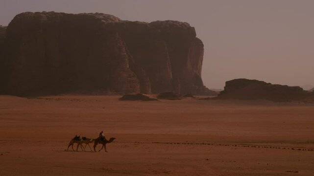 Camel Crossing In A Red Desert, Wadi Rum, Jordan 