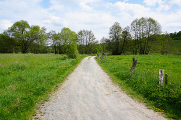 Radweg oder Weg nach Bad Wünnenberg in Nordrhein Westfalen inmitten idyllischer Wiesen und Felder