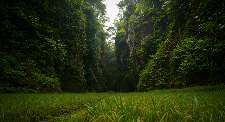 Green Canyon View with Lush Grass and Cliffs