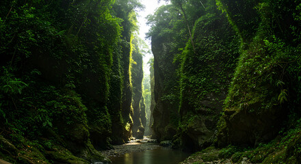 Exploring Lush Green Canyon with Flowing Stream