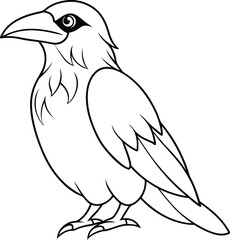 Obraz premium hand drawn crow outline illustration 