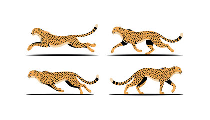 Leaping cheetah set vector illustration on white background